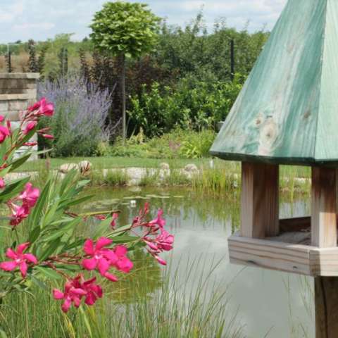 Kerti tó, madáretetővel