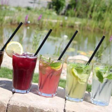 Epres mojito koktél